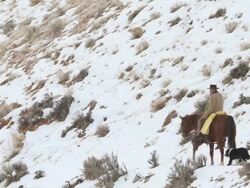 WS Man on horse walking with dog on snowy hillside / Shell, Wyoming, United States Stock Footage