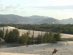 WS, PAN, HA, Brazil, Ceara, Fortaleza, Two people riding horses at oasis, rear view Stock Footage