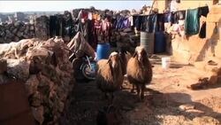 Syria - Extensive damage to Taftanaz following heavy fighting between rebels and govt forces / Hundreds of people have taken to living in caves and ruins to escape bloody fighting / UNHCR says 10,000 Syrian refugees have fled across border in a week / Widespread devastation after deadly car bombing near ruling party HQ / Syrian National Council gathers to form interim government News Clip
