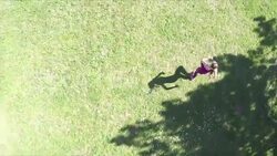 couple is running in a park - top view face to face Stock Footage