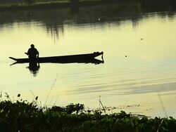 Fishermen at dawn long focus shot Stock Footage