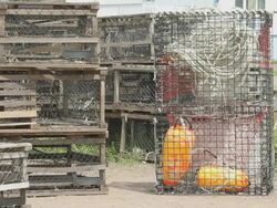 Rectangular cages with fishing gear inside Stock Footage