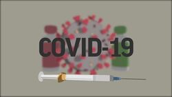 ANIMATION shows how vaccines work against viruses like COVID-19 Instructional Video