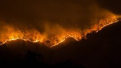 Forest fires Stock Footage