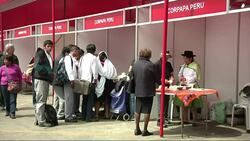 Peruvians celebrate national potato day News Clip