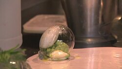 VOICED : El cocinero del ano en Francia News Clip