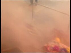 WRAP Protesters clash with police, plus WTO and police comment News Clip