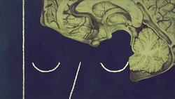 TED-ED: How does your body know what time it is? - Marco A. Sotomayor Instructional Video