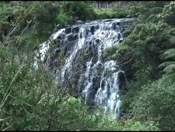 (HD1080) Waterfall Behind Trees / Bush Stock Footage