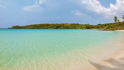 tropical beach Stock Footage