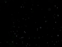Dust Particles - Shot in Slow Motion Stock Footage