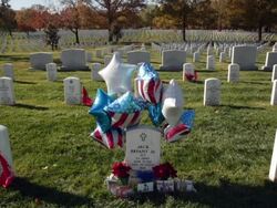 Veteran's Day Observed At Arlington National Cemetery Stock Footage