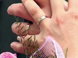 HD: Just Married Stock Footage