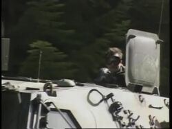 WRAP Area of Karadzic search, vets demo plus comment News Clip