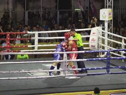 Thai Boxing Muay Thai Stock Footage