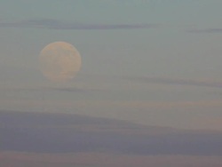 Pale Moon Rise Stock Footage