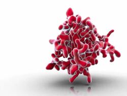 CU View of human growth hormone protein molecular structure / Oxford, Oxon, United Kingdom Stock Footage