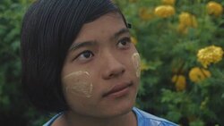 C/U SLO MO Myanmar teenage girl in a field of yellow mums, rain Stock Footage