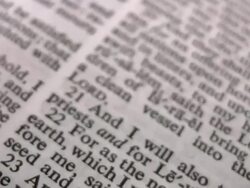 HD 1080i The Book of Jeremiah Stock Footage