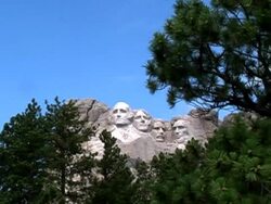 rushmore tree zoom Stock Footage