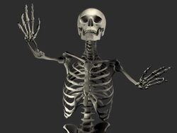 (Loop + Alpha) Halloween, Singing Skeleton Stock Footage