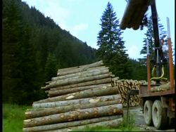 MS logging machine moving logs onto pile, Tyrol, Austria Stock Footage