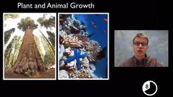 LS1B - Growth and Development Instructional Video