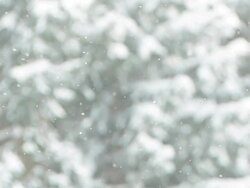 HD SLOW MOTION: Trees During Snowfall Stock Footage