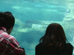 CU Shot of people viewing fish and sea life inside of aquarium / Osaka, Kanto, Japan Stock Footage