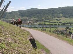 WS  View of equestriennes riding at village Ayl, Saarburg country / Ayl, Saar-Valley, Rhineland-Palatinate, Germany  Stock Footage