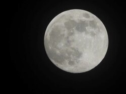 Moon Rising Stock Footage