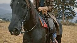 SLO MO Male rancher stroking his horse Stock Footage