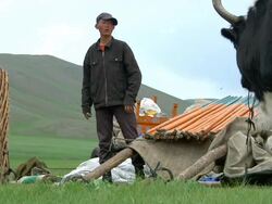 MS Nomad man moving camp / Central-south Mongolia, Mongolia Stock Footage