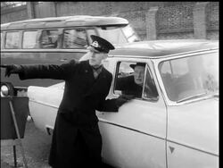 FLYOVER IN PARK News Clip