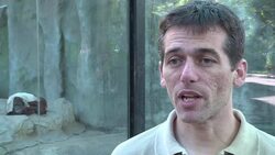 VOICED : Justicia argentina decide destino de orangutan Ã‚Â“tristeÃ‚Â” News Clip