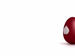 Easter Egg HD Stock Footage