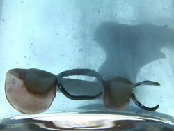 HD: Cleaning the denture Stock Footage