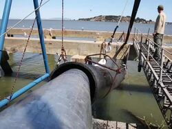 Drought-Plagued California Gives Salmon A Boost Downstream Stock Footage