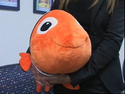 Research to understand how dyslexics' brains work News Clip