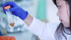 Scientist a look at test tube with liquid sample in laboratory, Slow motion Stock Footage