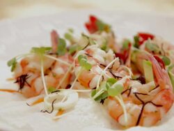 Close up of shrimp salad Stock Footage
