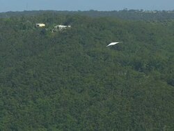 WS AERIAL ZI View of paragliding over tree covered mountain / Stanwell Park, Sydney New South Wales, Australia Stock Footage