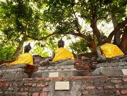 Old Buddha Statues at Historical Park of Ayutthaya, Thailand Stock Footage