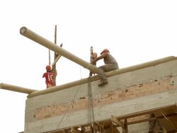 FEATURE: Campo Bahia â€“ Environment - MARILEIA - English Voiceover Stock Footage