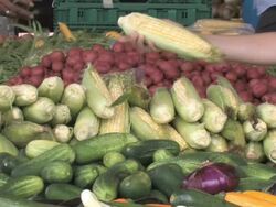 Farmer's Market (HD) Stock Footage