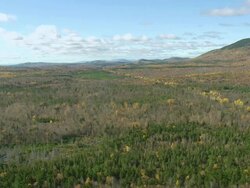 WS ARIEAL View of forest / Maine, United States Stock Footage