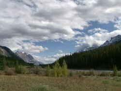 WS ZI View of Mountain meadow and mountain / Jasper, Alberta, Canada   Stock Footage