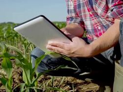 MS DS Farmer Using A Digital Tablet Stock Footage