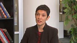 Amnesty: Sudan used chemical weapons in Darfur News Clip