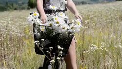 Flowers in bike Stock Footage